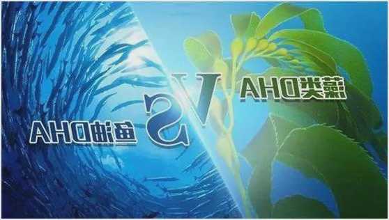 科伦药业(002422.SZ)：今年还将获批一批含有鱼油的外周静脉三腔袋，比公司这两年获批的中心静脉产品体量要大