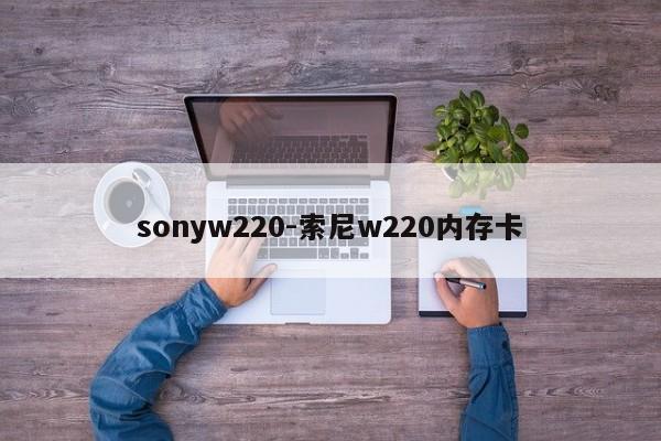 sonyw220-索尼w220内存卡