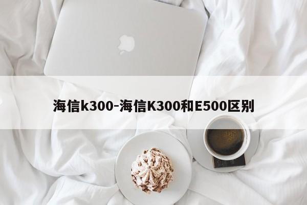 海信k300-海信K300和E500区别
